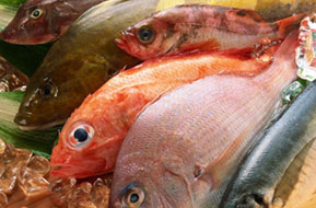 Цікаві факти про рибу й морепродукти